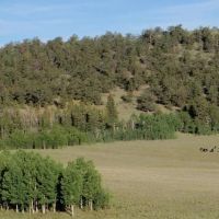 Reinecker Ridge Ranch images 3