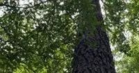 66 Acres in Panola County in Pope MS images 3