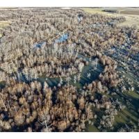 Big Piney Bottoms images 2