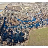 Big Piney Bottoms images 5