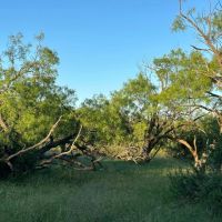 25 - Acres….Large surface tank Oaks Views Hunting images 3