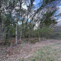 LA - Franklin 148.85 acres - images 3