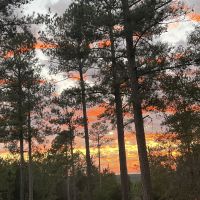 Img 0702
