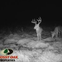 42.5 - ACRES US 6 PLYMOUTH IN 46563 MARSHALL COUNTY LAND FOR SALE images 2