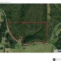 Land Timber 69 images 3