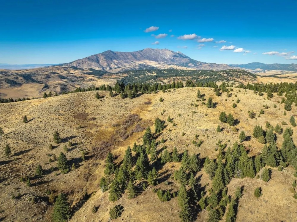 The Schmidt Ranch featured image