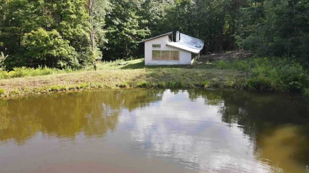 38 acres with Cabin and Pond in Rensselaerville NY 50 Frieda s Hill Lane featured image