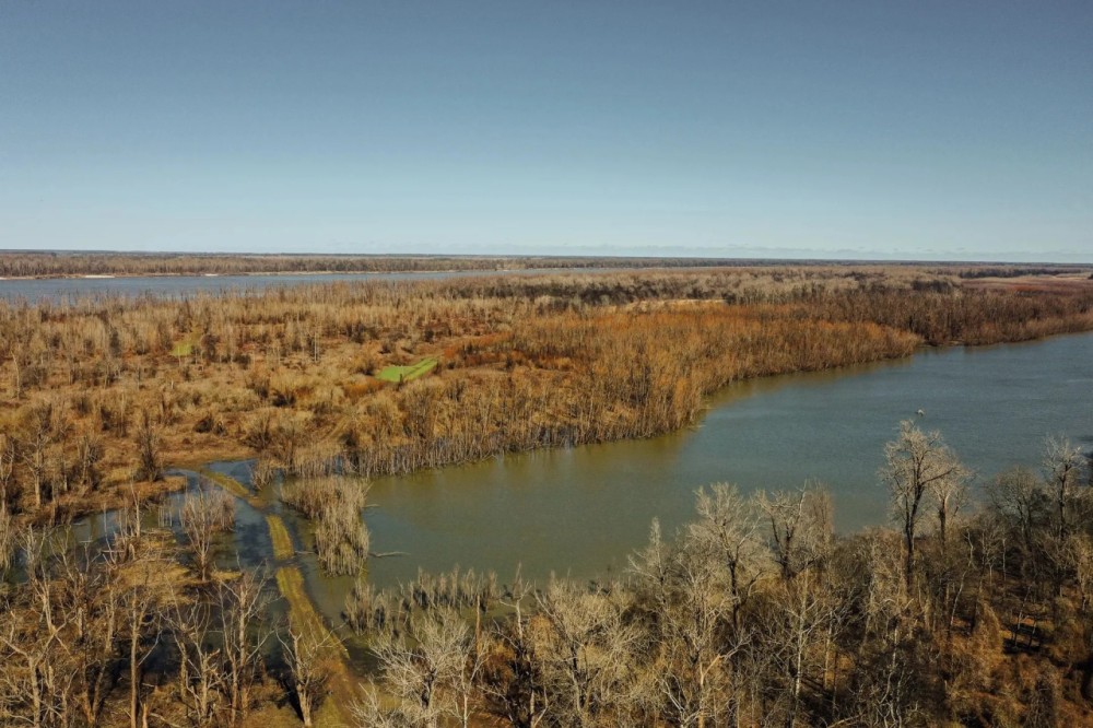 One Equity Share at Smith Point Hunting Club in Bolivar County MS featured image