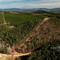 East Alabama Timber Investment - 351 Acres in Cherokee County images 3