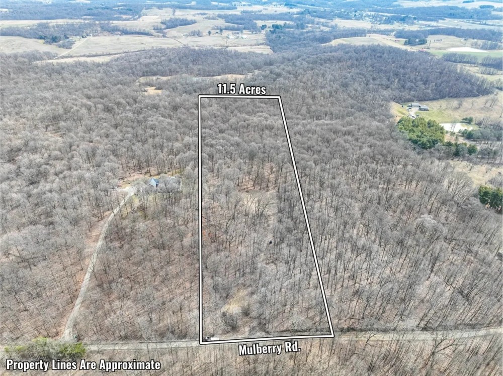 Auction Mulberry Rd - Licking County featured image
