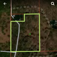 30 ac tract near Linden &nbsp; $900