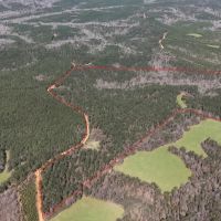 Tuscaloosa County 125 - Acres Recreational and Timber Tract