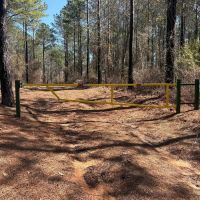 Tuscaloosa County 125 - Acres Recreational and Timber Tract images 4