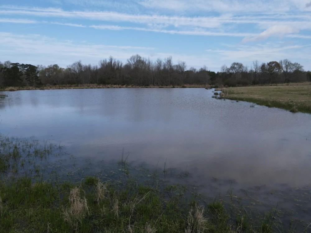 45 - Acres of Prime Pasture Land featured image