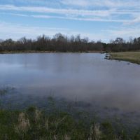 45 - Acres of Prime Pasture Land