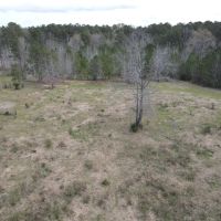 45 - Acres of Prime Pasture Land images 4