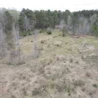 45 - Acres of Prime Pasture Land images 5