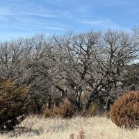 64.43 Acres - with Creek Knox County Nebraska images 3