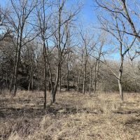 64.43 Acres - with Creek Knox County Nebraska images 4