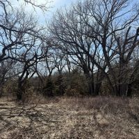 64.43 Acres - with Creek Knox County Nebraska images 5