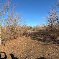 139 - acres Tensas Parish Hunting Land with Income images 2