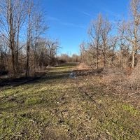 139 - acres Tensas Parish Hunting Land with Income images 3