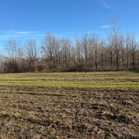 139 - acres Tensas Parish Hunting Land with Income images 5