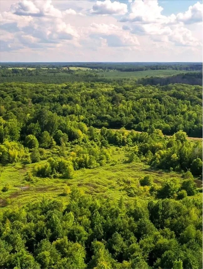 910 Acres in Union Parish in Spearsville LA Big Daddy s Paradise featured image