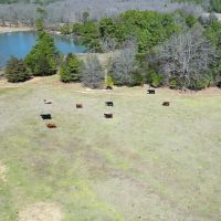 130 Acres Hunting Ranch For Sale Antlers OK images 3