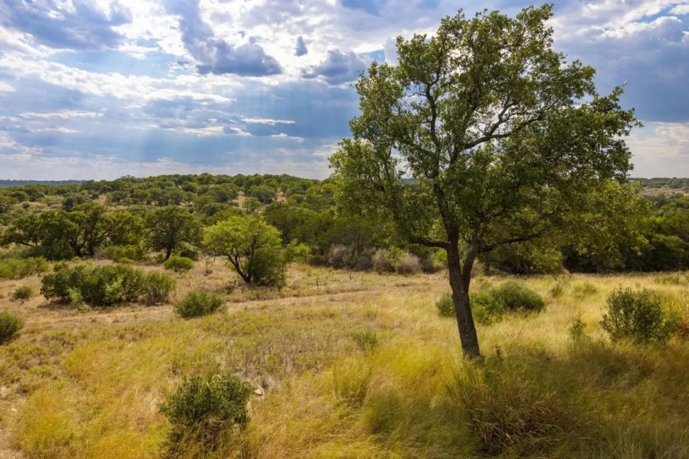 Brindley Ranch featured image
