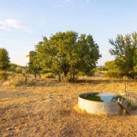 Brindley Ranch images 5