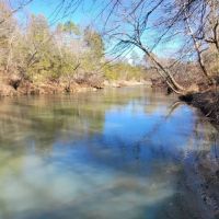 71.2 ACRES LITTLE RIVER FRONTAGE images 1