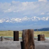 Noon Bear Ranch