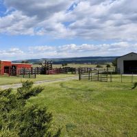 Noon Bear Ranch images 4