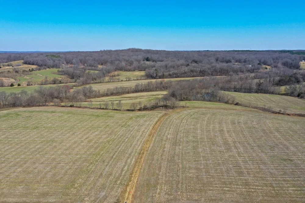 45 Acre featured image