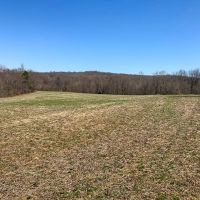 45 Acre images 2