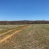 45 Acre images 3