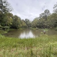 MS - Warren 100 acres - images 3