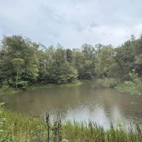 MS - Warren 100 acres - images 4