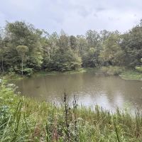 MS - Warren 100 acres - images 5