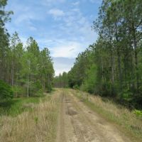 Otter Creek West Tract images 3