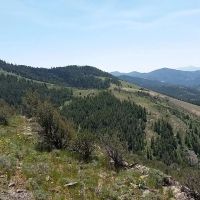 East Dempsey Creek Hideaway images 3
