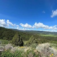 East Dempsey Creek Hideaway images 5