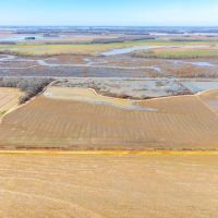 Duck and Goose Hunting Land 41 - Acres Fair Oaks Arkansas