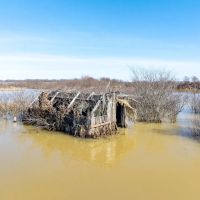 Duck and Goose Hunting Land 41 - Acres Fair Oaks Arkansas images 3
