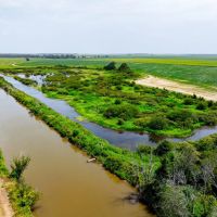 Duck and Goose Hunting Land 41 - Acres Fair Oaks Arkansas images 4
