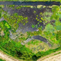 Duck and Goose Hunting Land 41 - Acres Fair Oaks Arkansas images 5