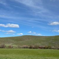 Rose Creek East images 4