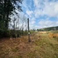 20 Acres South of Columbia MS images 2