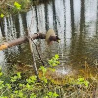 20 Acres South of Columbia MS images 3